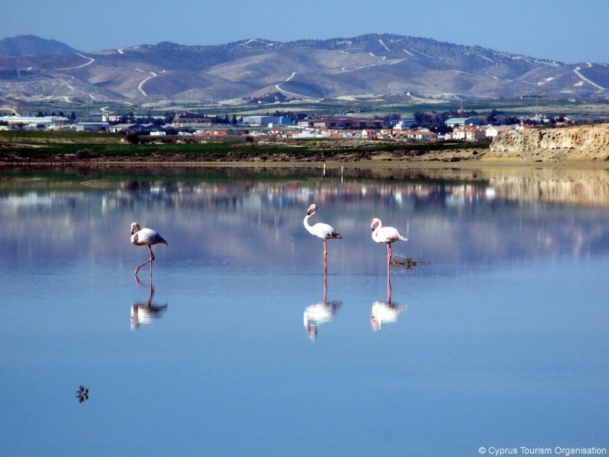 Blue Bay Beach House Larnaca Bagian luar foto